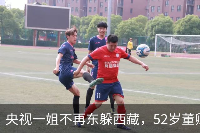 央视一姐不再东躲西藏，52岁董卿现状，与普通中年女人如出一辙
